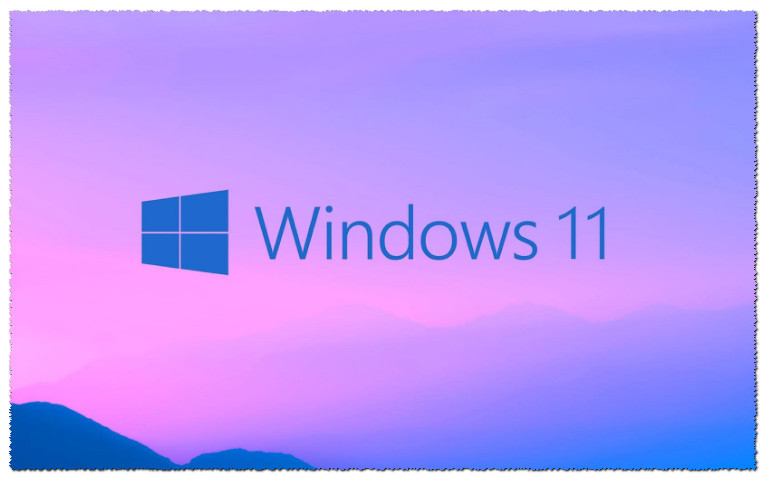  Windows 11    