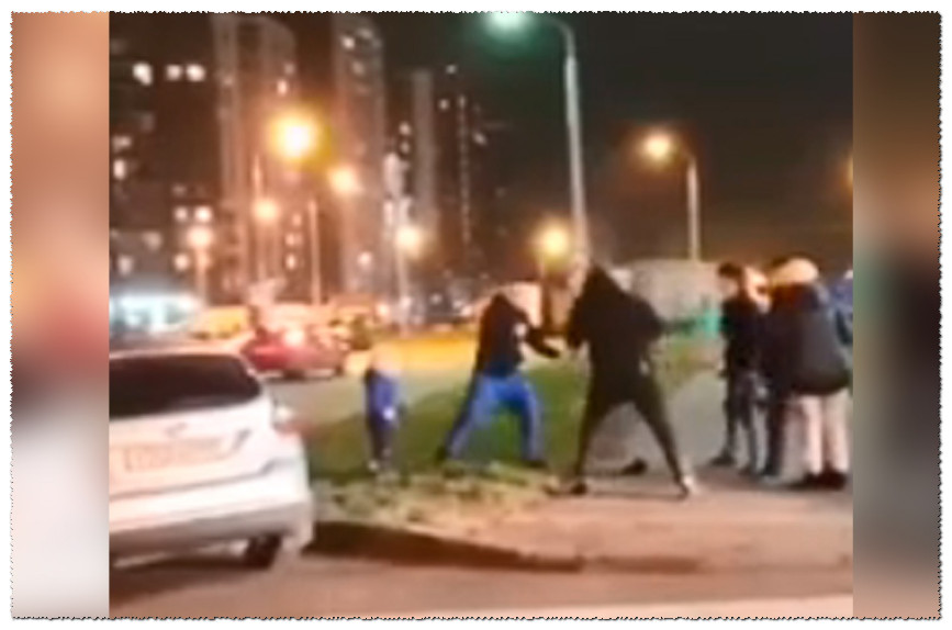Полиция проводит проверку по факту нападения на мужчину с ребенком в Новой Москве