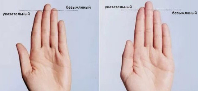 Ученые открыли связь между длиной пальцев и характером человека